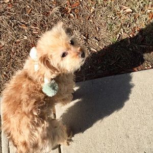 Meet your Posher, Debra